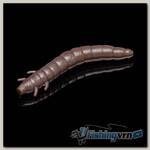 Приманка Soorex King Worm 55мм (1.8г, 7 шт) цвет 124 Графит, аромат - Голубика