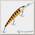 Воблер Bandit Walleye Deep 07