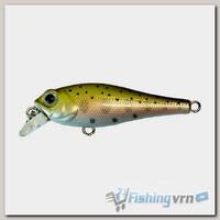Воблер Kosadaka Beagle XS 43F (2.05 г) NT