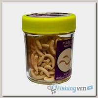Насадки искусственные съедобные Kosadaka Maggot Опарыш белый (банка, 9 г)