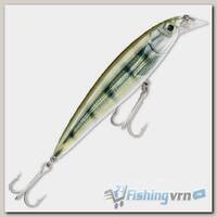 Воблер Rapala X-Rap Saltwater до 2,4 м (12см, 22гр) PF
