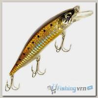 Воблер Scorana Stout Minnow (110мм,16.5г) HBTR
