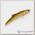 Воблер Narval Frost Candy Vib 95S (32г) 033-NS Perch